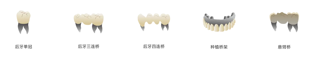 瓷倍健ST-COLOR_畫板 1 副本 3.webp