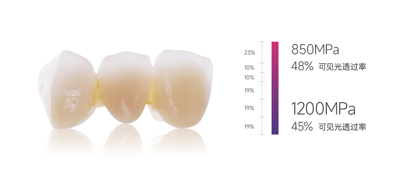 全適應證修復，強度與美學兼具