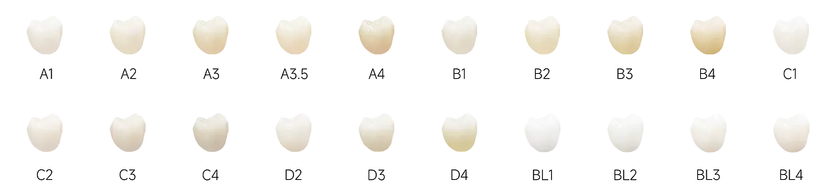 魅影全能_畫板 1 副本 5 拷貝.webp